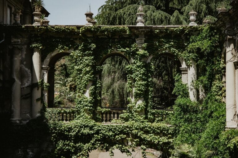 Lush ivy enveloping an ancient stone bridge with architectural details